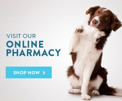 Online Pharmacy